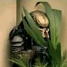 Avp_lover1936 member profile picture