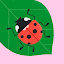 Coccinelle