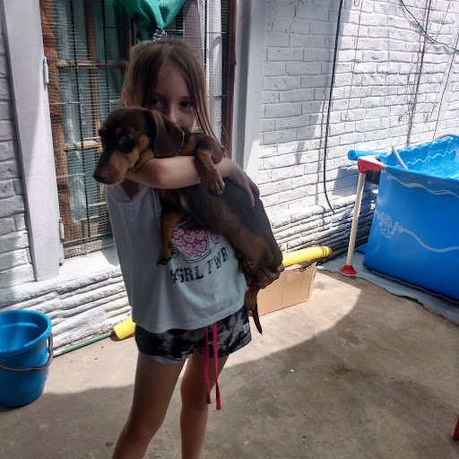 delfi