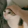 湯包