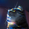 Hoa P.'s profile image
