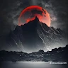 author-avatar