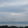 黑田羽