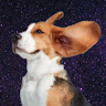 AstroDog