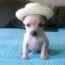 Ismael's avatar