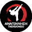 Anagennisi Taekwondo (Owner)