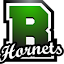 Roswell Hornets (Owner)