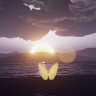 runxiangwang251168's Avatar