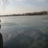 sapir yosef's photo