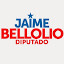 Galeria Jaime Bellolio (Owner)