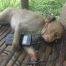 user_tyb5wksjbkl23wdm37488 member profile picture