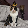 user_oiwqj93728wyb7pw member profile picture
