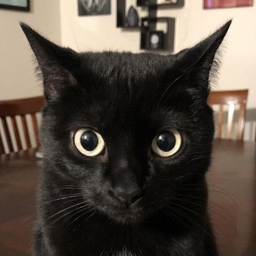 Mecky JPG