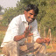 Suresh Bobbadi