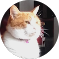 Avatar de Valérie.a