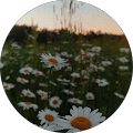 Fleesenseeschule Malchow - Malchow