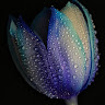Created by