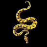 user_ub12hmwxl1y98ecl member profile picture