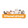 Meowcatgank Aci