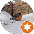 Hambly Insurance Brokers - Cookstown, Ontario