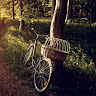 Created by
