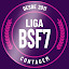 Liga BS F7 さん（オーナー）