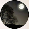user_0g372ckb33cp3uh7 member profile picture