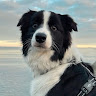 user_da4mqoehybiosioj member profile picture