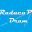 Raducu P Drum (Owner)