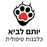 תמונת הסופר/ת: Yotam Lavi