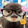 Angelina H. avatar