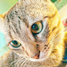 user_ldyyegxblhpzgyla member profile picture
