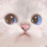 user_youms62omcm63uxq member profile picture