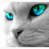 用戶: надежда к