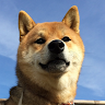 dott_Hagaji