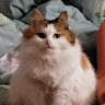 chugunovdemon889's Avatar