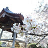 執筆者の写真: 定寺 金剛