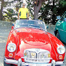borivojesve3561
