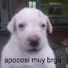 Ryuuu Ttgg