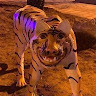 maximus