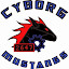 Cyborg Mustangs (Owner)