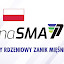 Tomasz Szwajgiel (Owner)