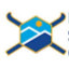 International Skiing Fellowship of Rotarians (Owner)