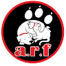 Writer: ARF Office