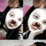 Grace