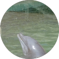 Avatar de Brigitte21@gmail.fr.r