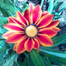 Created by