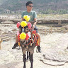 Created by