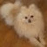 cpstclaire's profile picture