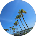 Jack Weissman, Attorney at Law - Brooklyn, New York